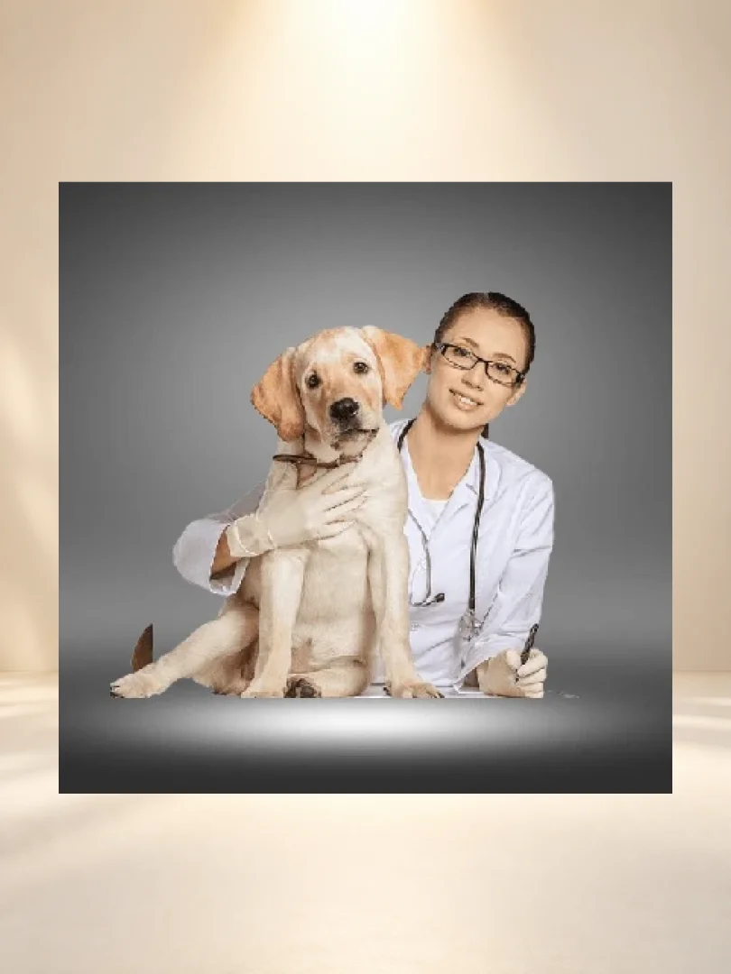 Veterinarlar