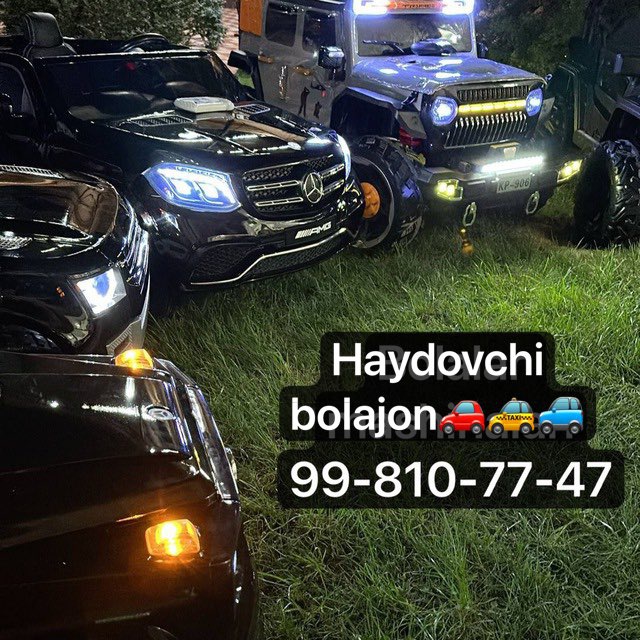 Haydovchi Bolajon