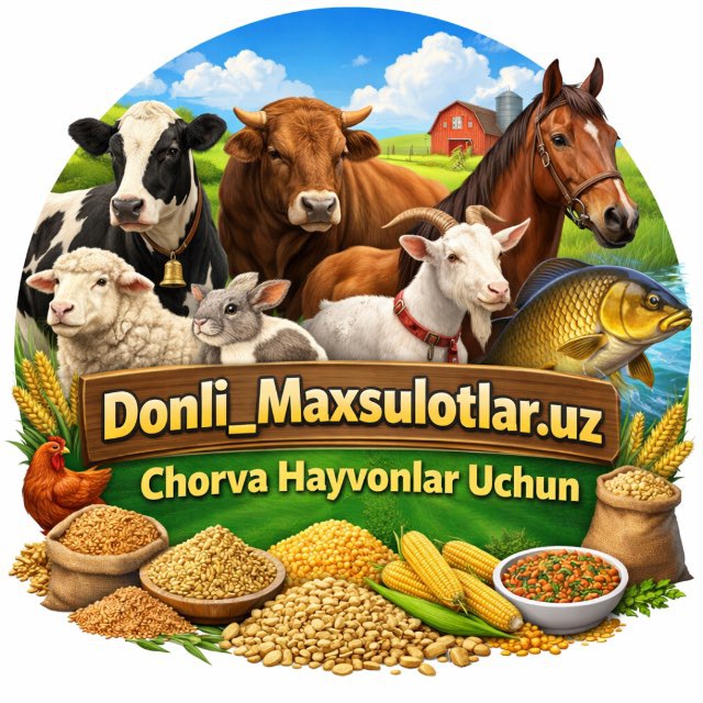 DONLI_MAXSULOTLAR.UZ️