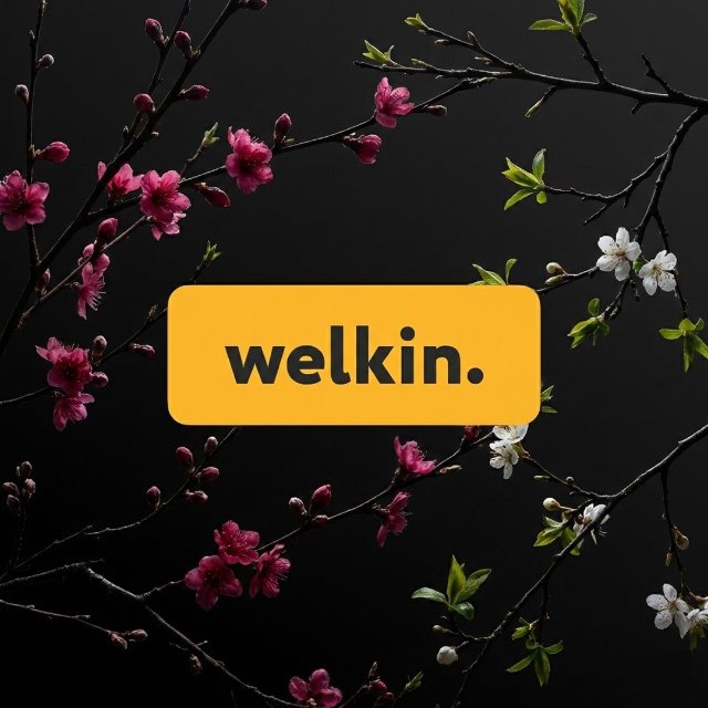 Welkin.uz