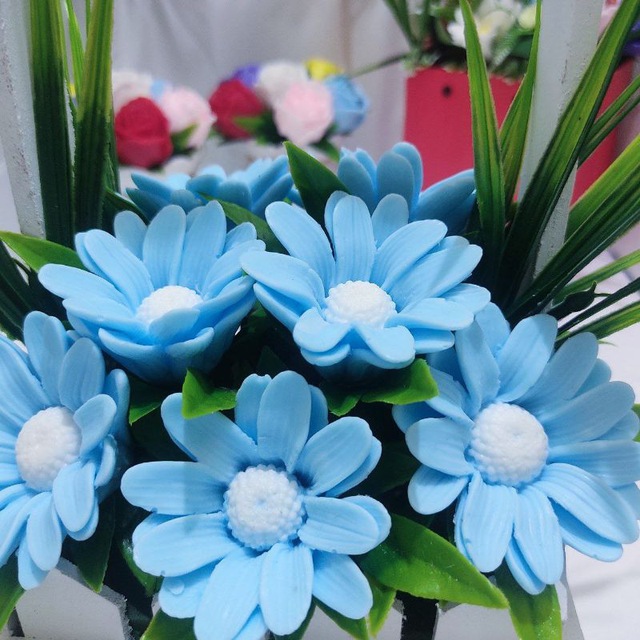 Sovun gullar 💐💐 Toshkent