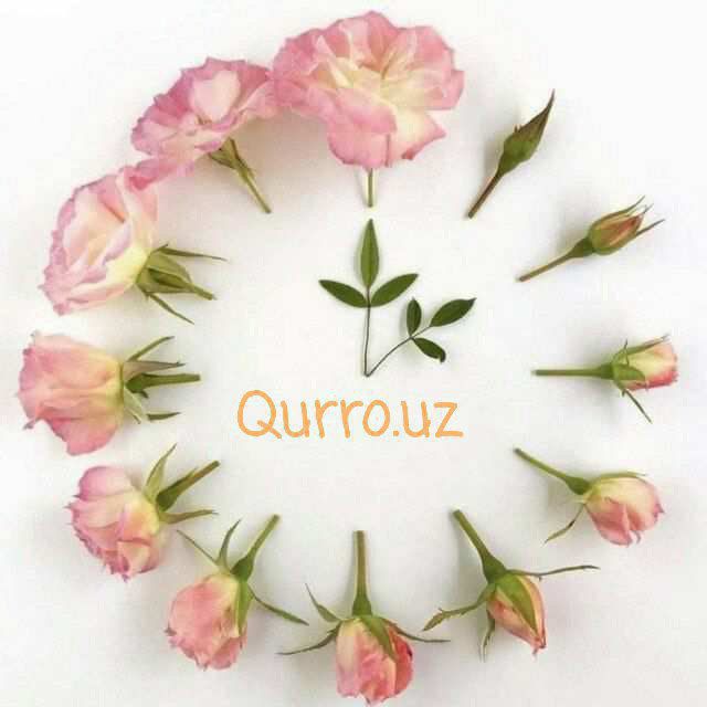 QURRO.UZ | Расмий канали